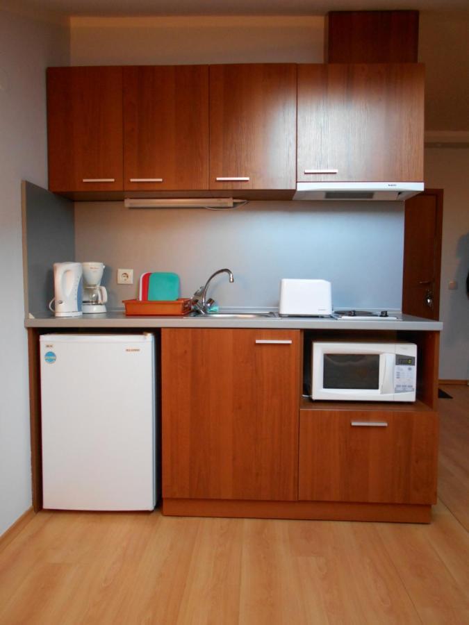 בורובץ Studio Villa Park 408 מראה חיצוני תמונה